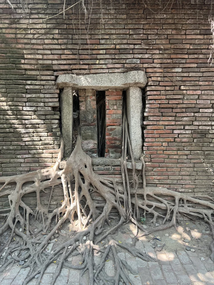 What Conflict Is Teaching Me About Consciousness