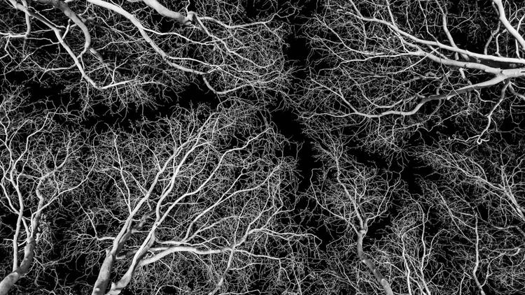 Trauma Doesn’t Make It Less Real