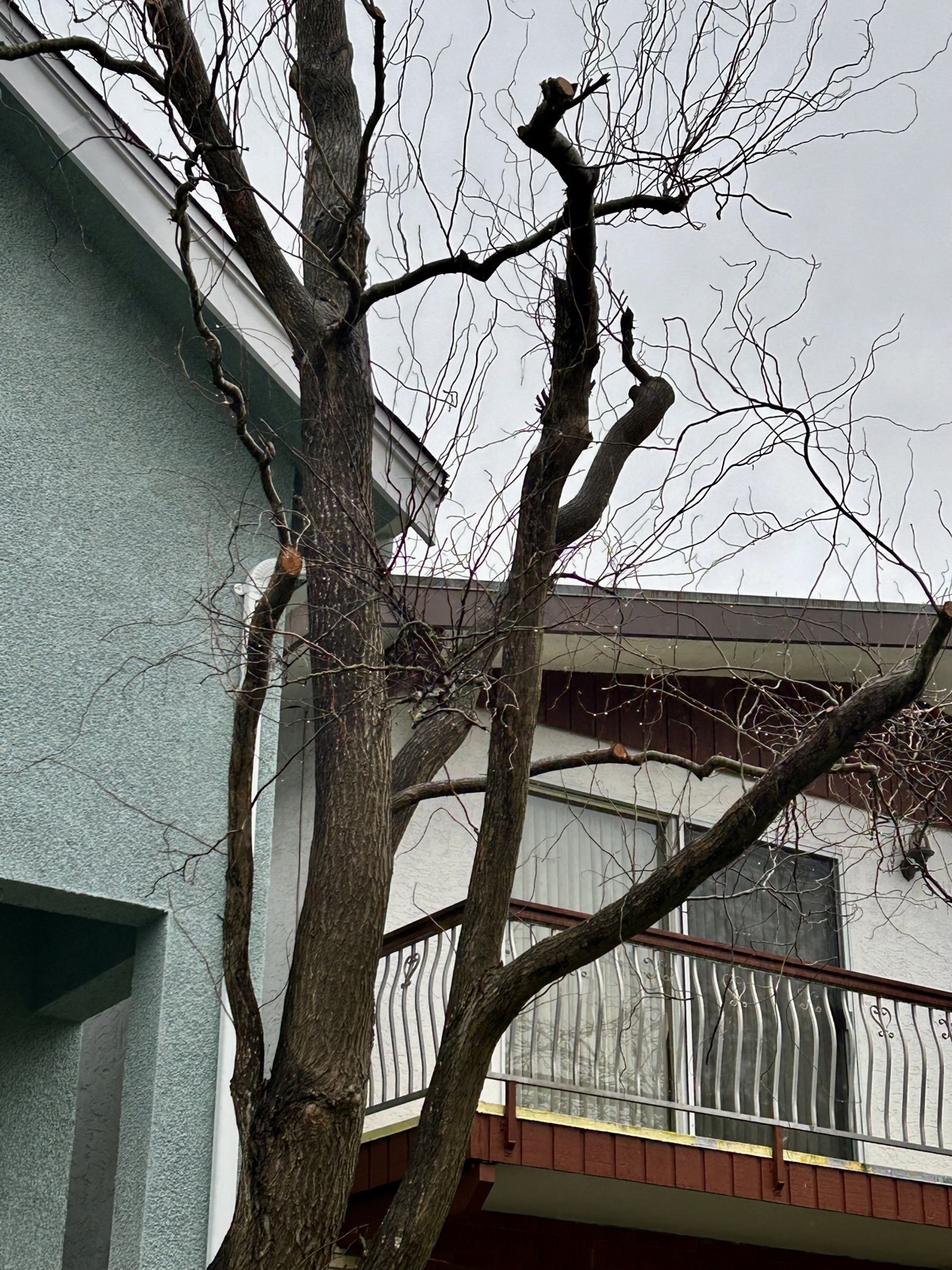 Wintering, Taking in the View